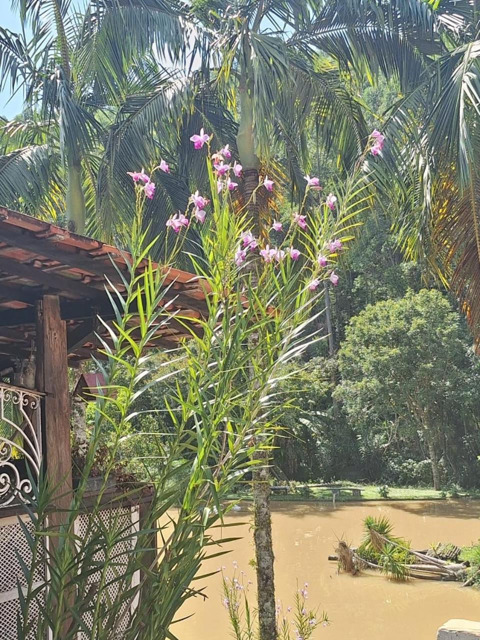 Chacara Ladeira De Pedra Villa Salesópolis Екстериор снимка