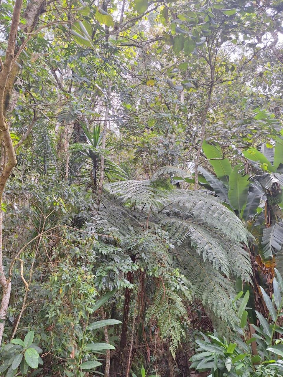 Chacara Ladeira De Pedra Villa Salesópolis Екстериор снимка