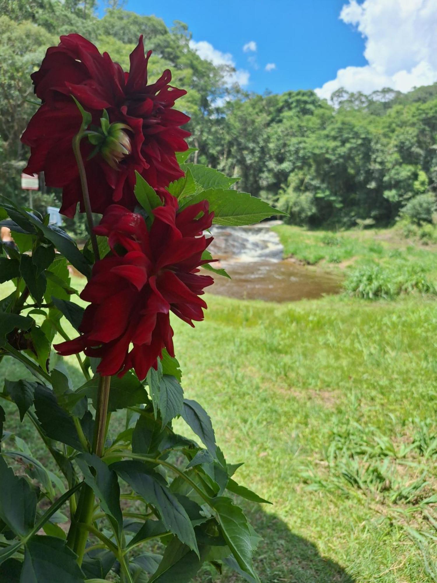Chacara Ladeira De Pedra Villa Salesópolis Екстериор снимка